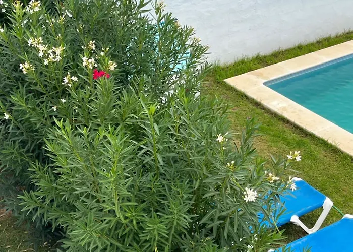 Rural La Mejora Кониль-де-ла-Фронтера