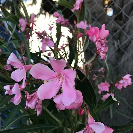 Gospodarstwo wiejskie Rural La Mejora